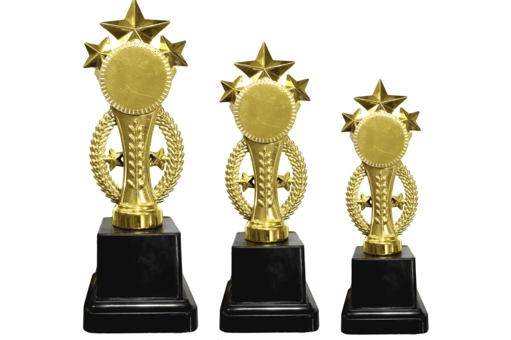 Service Provider of Trophies in New Delhi, , .